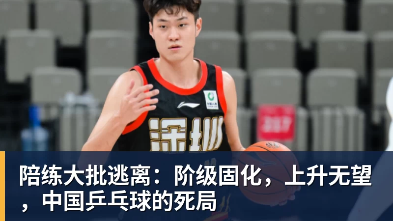 陪练大批逃离：阶级固化，上升无望，中国乒乓球的死局